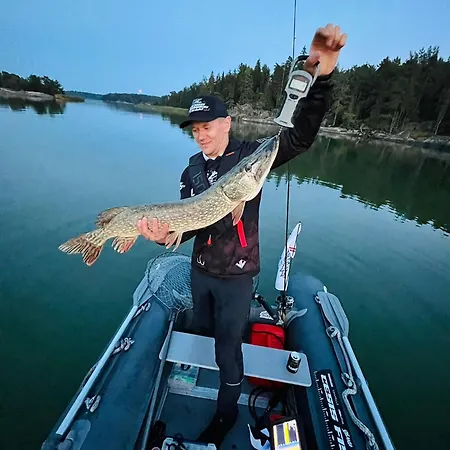 Tiira With Sauna House Chalet