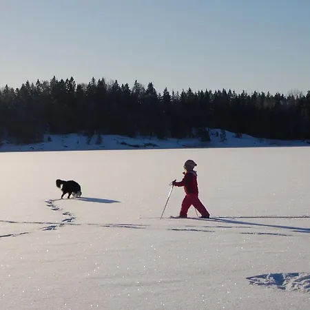 Tiira With Sauna House Chalet *