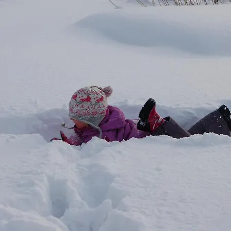 Tiira With Sauna House Chalet