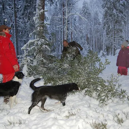 Tiira With Sauna House