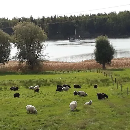 Tiira With Sauna House Chalet *