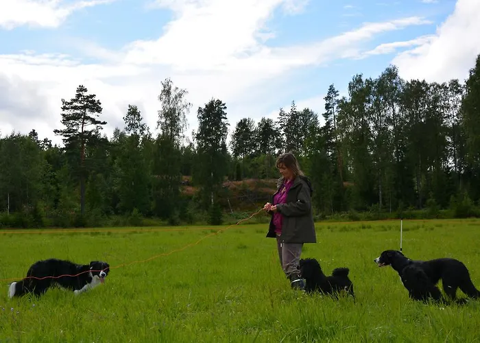Шале Tiira With Sauna House